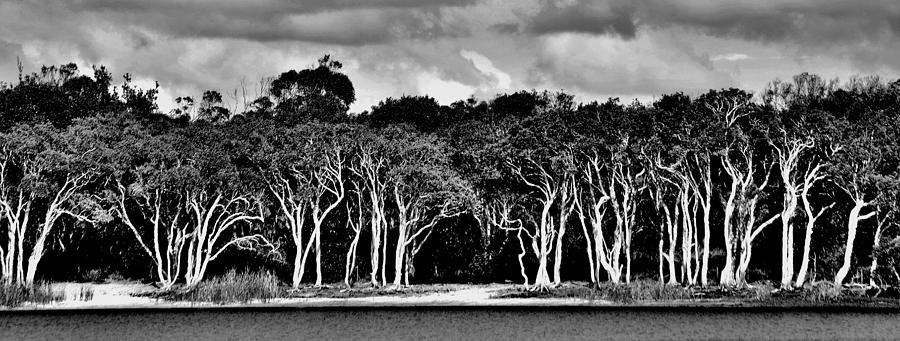 Ghost Gums - Australia Photograph by Jeremy Hall