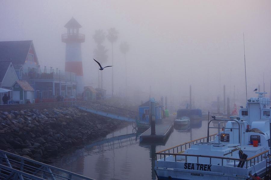 San Diego Photograph - Ghost Harbor by Allissa Thompson