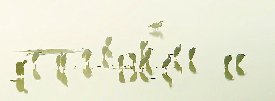 Ghost Herons Digital Art by William Horden