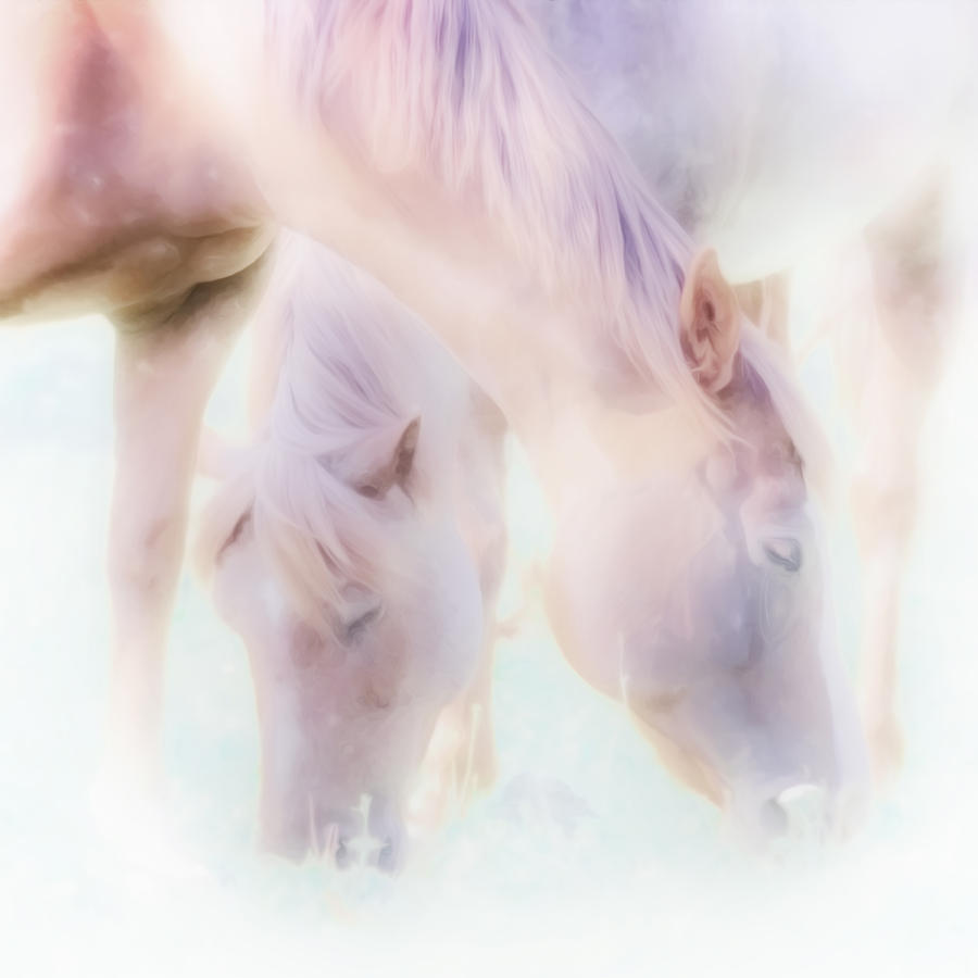 Horse Photograph - Ghost Horses Graze by Hal Halli
