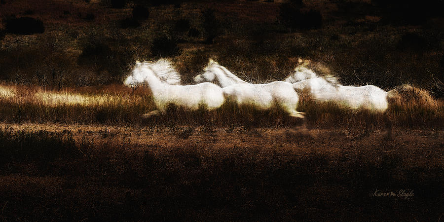 Ghost Horses Photograph by Karen Slagle