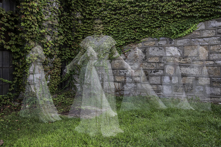 Ghost in the Garden Photograph by Sara Hudock
