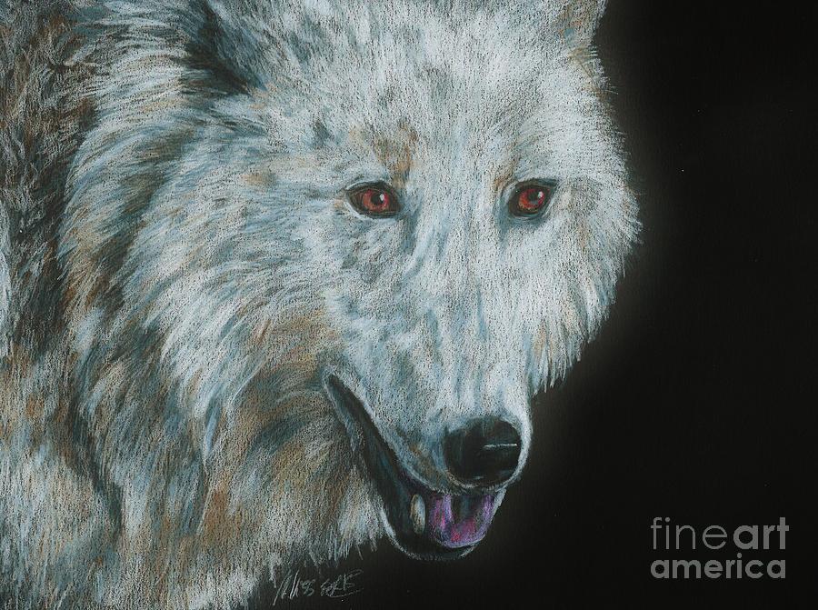 Wolves Drawing - Ghost by Meagan  Visser