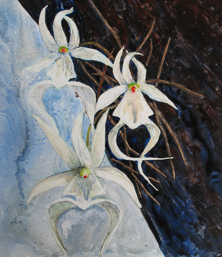 Ghost Orchid Blooming Painting by Patricia Beebe
