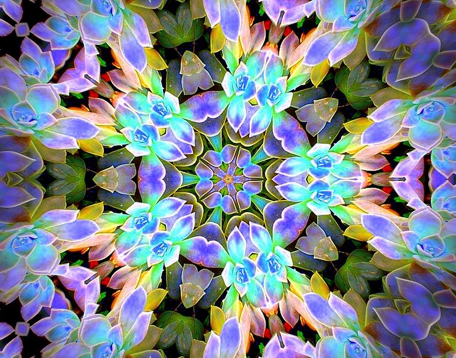 Ghost Plant Kaleidoscope 1  by Sheri McLeroy