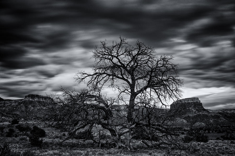 Ghost Ranch Abiquiu New Mexico Georgia on my Mind Photograph by Silvio Ligutti