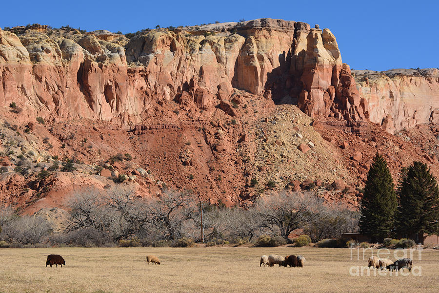 Ghost Ranch Photograph by John Greco