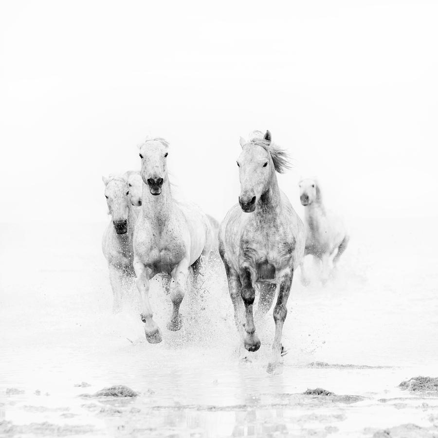 Nature Photograph - Ghost Riders by Irene Suchocki