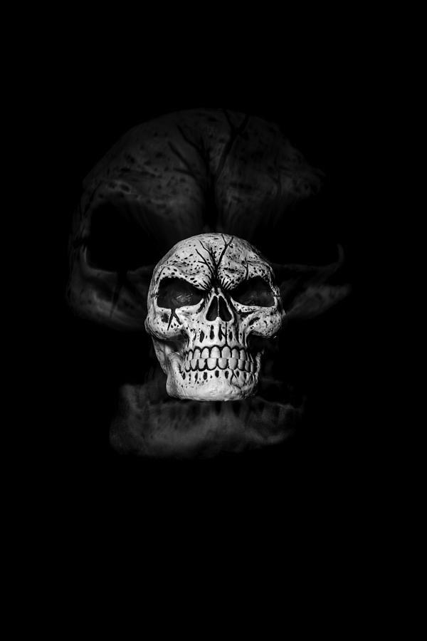 Ghost Skull Photograph by Erin Cadigan | Fine Art America