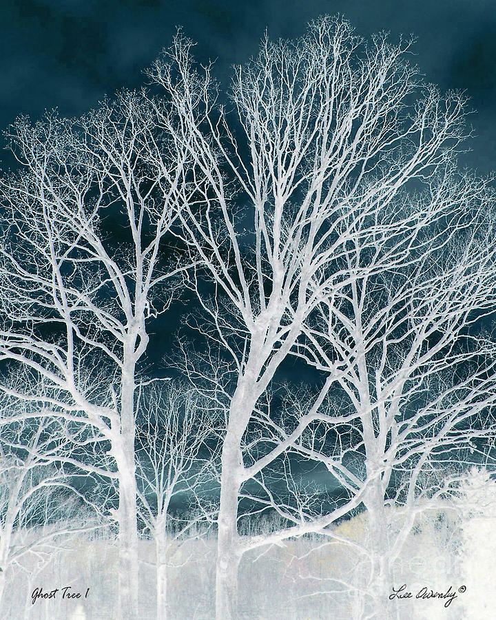 Ghost Tree 1 Photograph by Lee Owenby