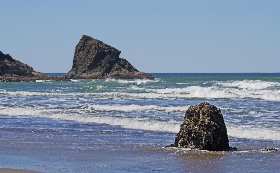 Ghost Tree Stump on Beach Photograph by Richard Risely