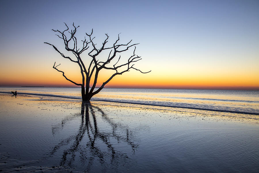 Ghost Trees of Boneyard Beach 07 Photograph by Jim Dollar