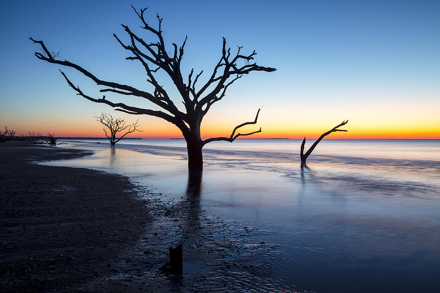 Ghost Trees of Boneyard Beach 10 Photograph by Jim Dollar