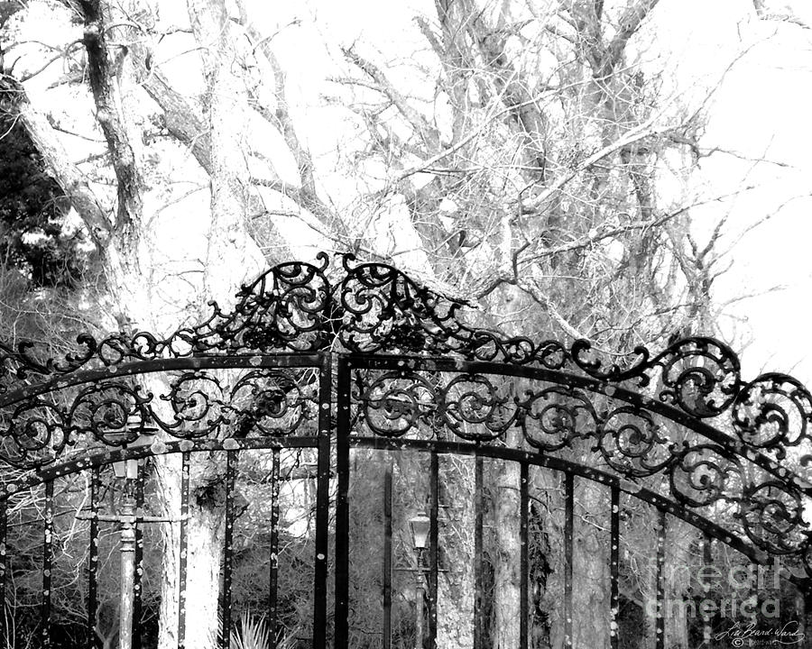 Ghosted Gateway Photograph by Lizi Beard-Ward