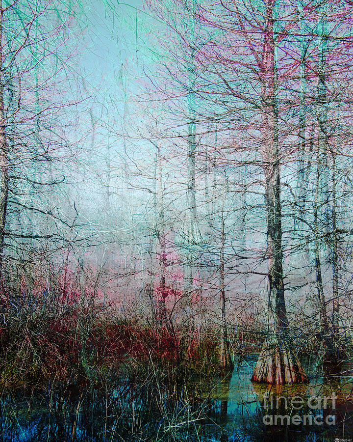 Ghosted Swamp Digital Art by Lizi Beard-Ward