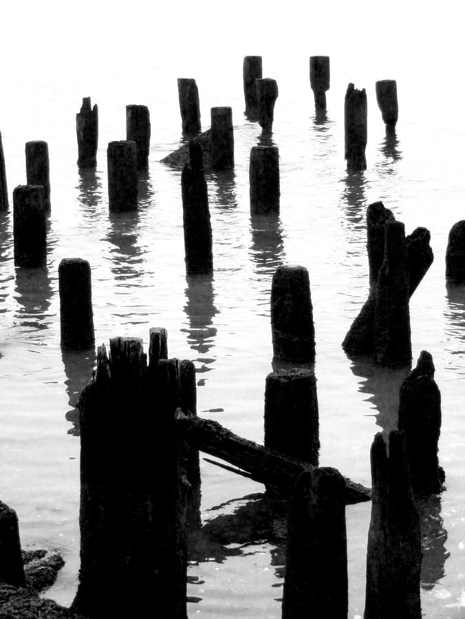 Ghostly Pilings Photograph by Liza Dey