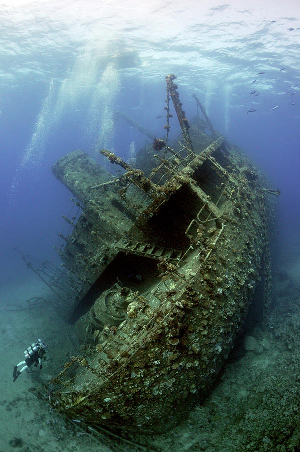 Giannis D Wreck. Photograph by Dray Van Beeck