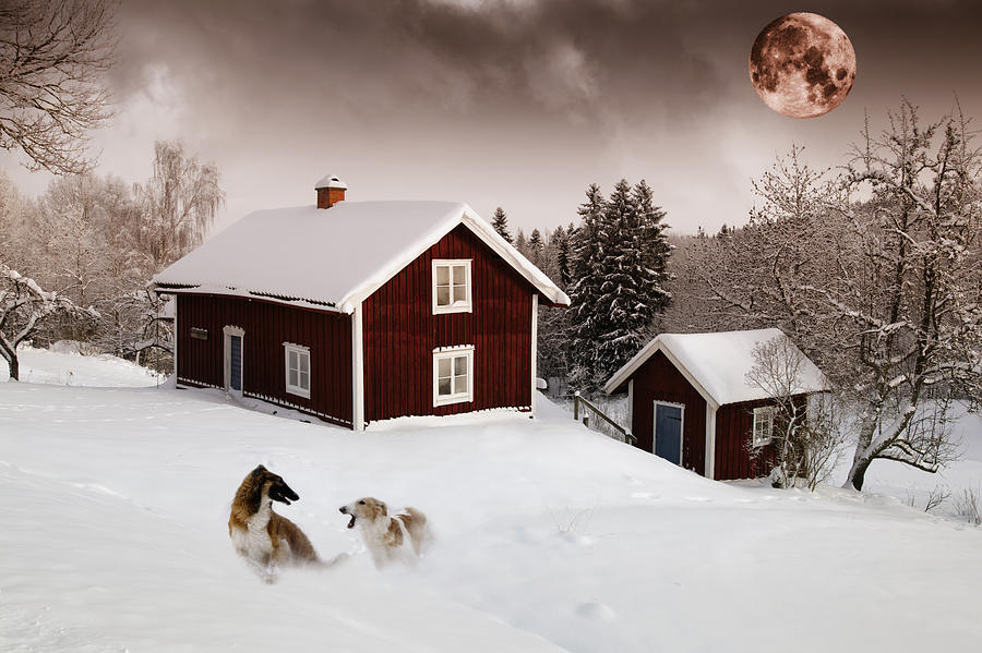 Giant Dogs Playing Under A Full Moon Photograph by Christian Lagereek