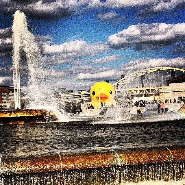 Pittsburgh Photograph - 🐤giant Duck 🐤
#duck #quackquack by Hilary Solack