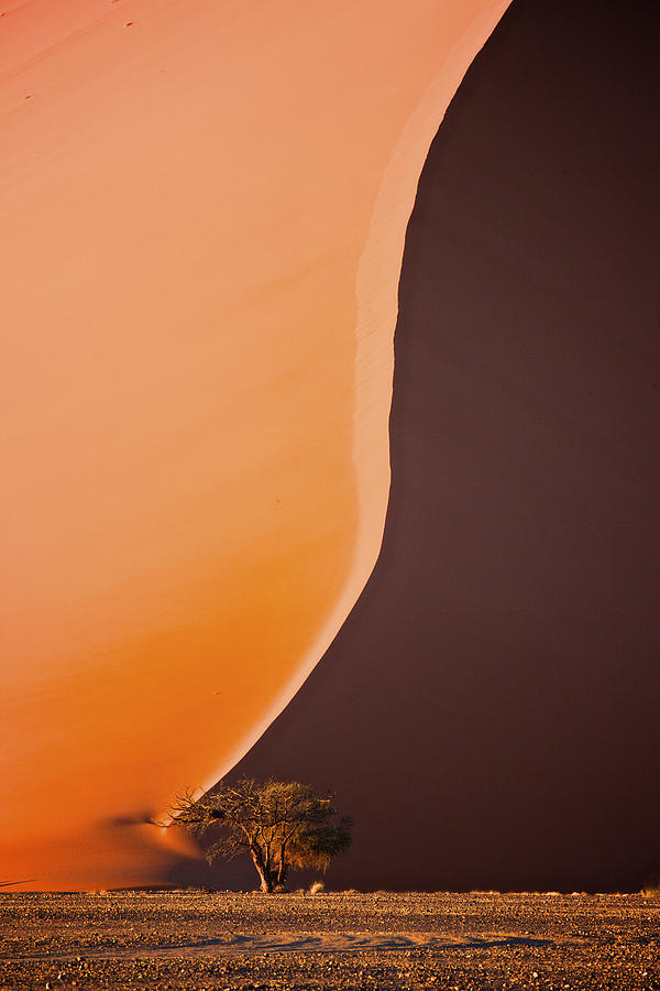 Giant dunes of Sossuvlei in Namibia Photograph by Randy Green