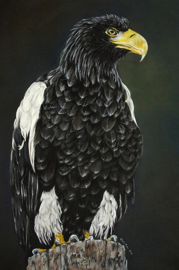 Giant Eagle Painting By Christina Frenken Fine Art America