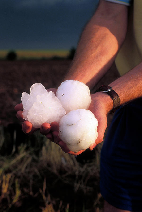 Giant Hailstones Photograph by Jim Reed/science Photo Library