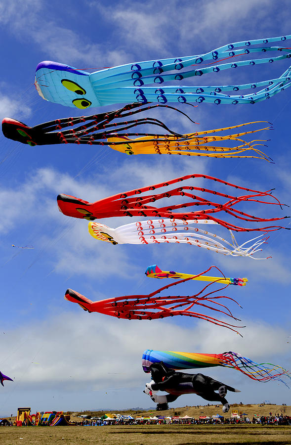 Octopus Photograph - Giant Kites At The Berkeley Kite Festival by Her Arts Desire