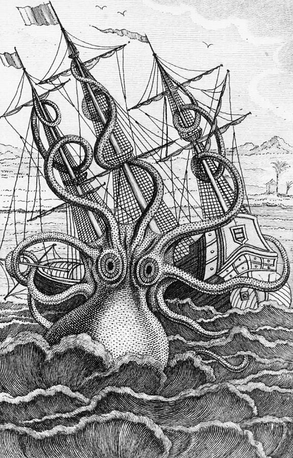 Giant Octopus illustration from L Histoire Naturelle Generale et Particuliere des Mollusques Drawing by French School