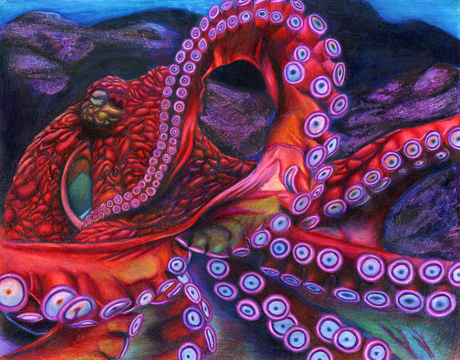 Giant Pacific Octopus by Erick Villegas Drawing by California Coastal