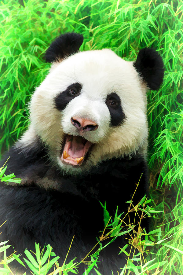Nature Digital Art - Giant Panda Laughing by Ray Shiu