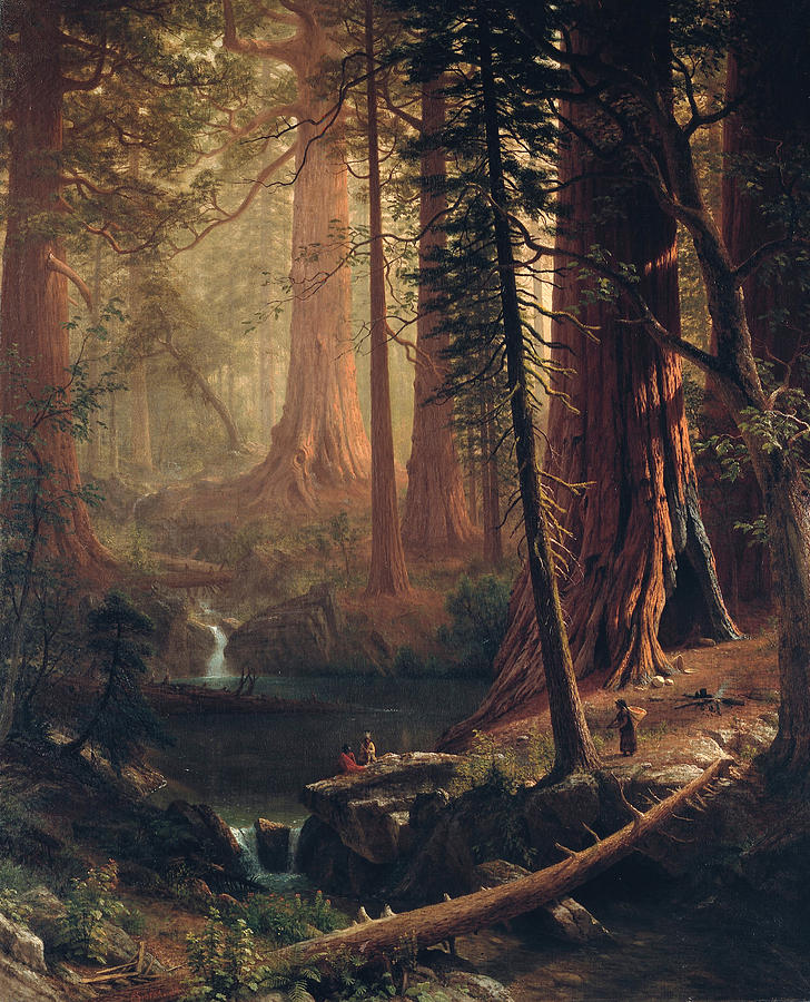 Albert Bierstadt Painting - Giant Redwood Trees of California by Albert Bierstadt