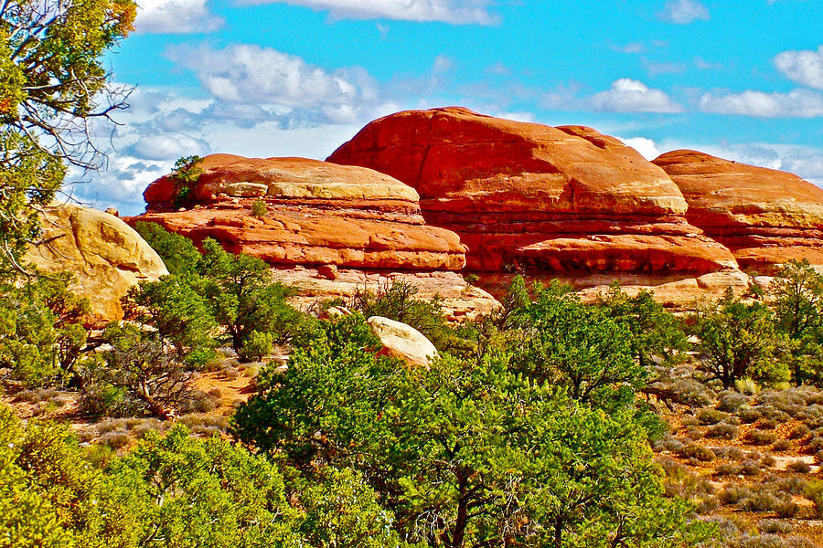 Giant Rock Hamburgers on Trail to Chesler Park in Needles District of Canyonlands National Park-Utah Photograph by Ruth Hager