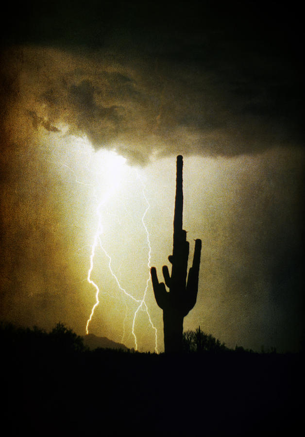 Nature Photograph - Giant Saguaro Lightning Spiral Fine Art Photography Print by James BO Insogna