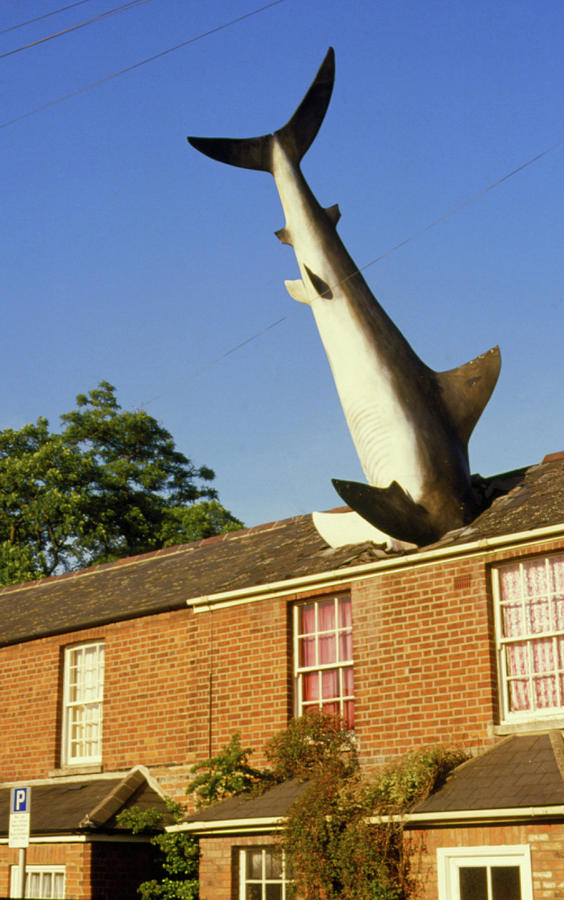 Giant Shark Protruding From The Roof Of A House! Photograph by Adam Hart-davis/science Photo Library