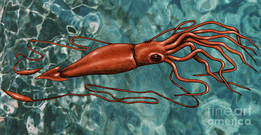 Giant Squid Photograph by Gwen Shockey