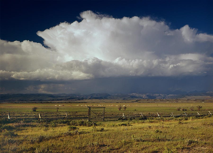 1M9401-Giant Thunderhead over the Wind River Mountains Photograph by Ed  Cooper Photography
