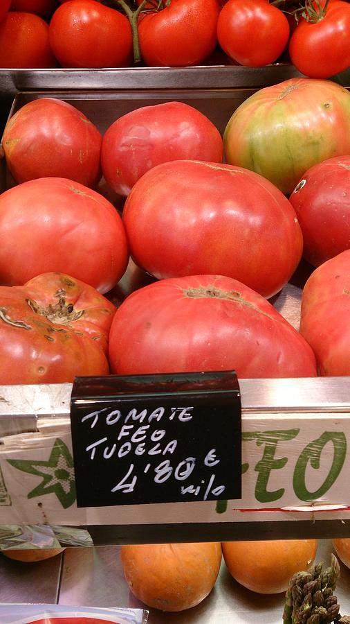 Giant Tomatoes Photograph by Moshe Harboun