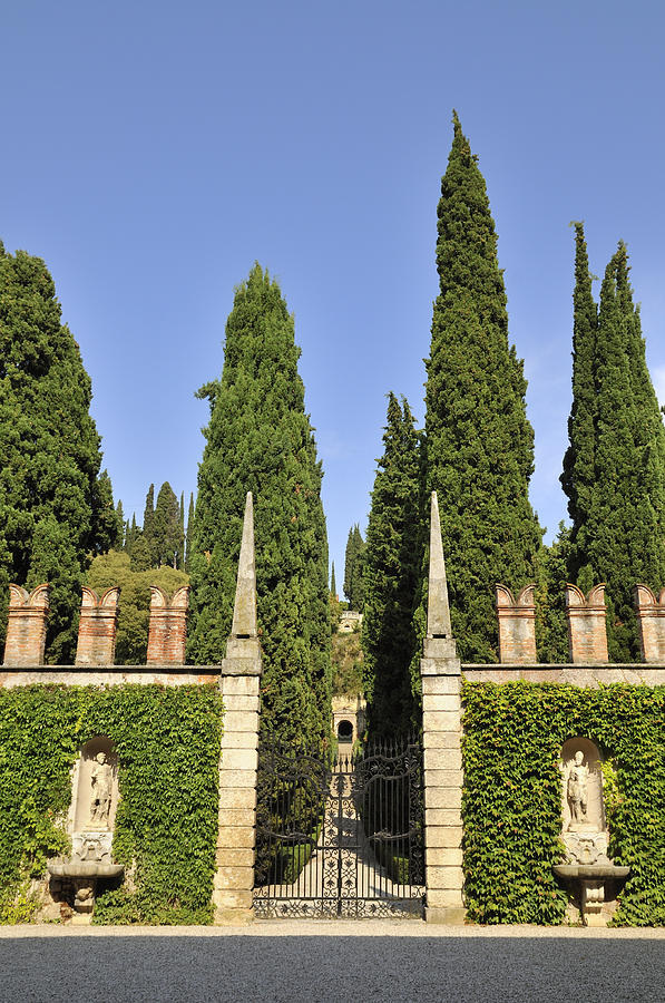 Giardino Giusti gardens in Verona Italy Photograph by Matthias Hauser