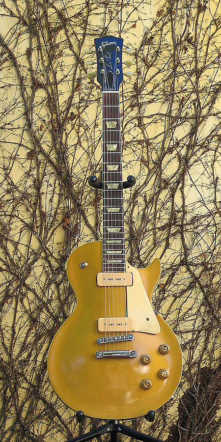 Music Photograph - Gibson Les Paul Gold Top 56 Guitar by Phyllis Tarlow
