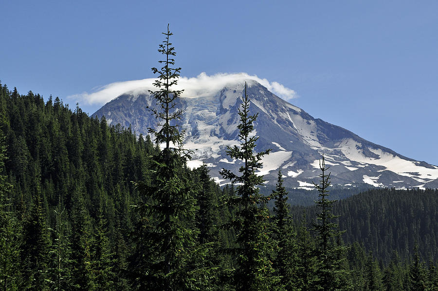 Gifford Pinchot National Forest and Mt. Adams Photograph by Tikvahs Hope