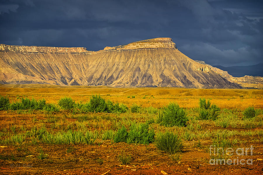 Landscape Photograph - Gift of Light Under Stormy Skies by Medicine Tree Studios