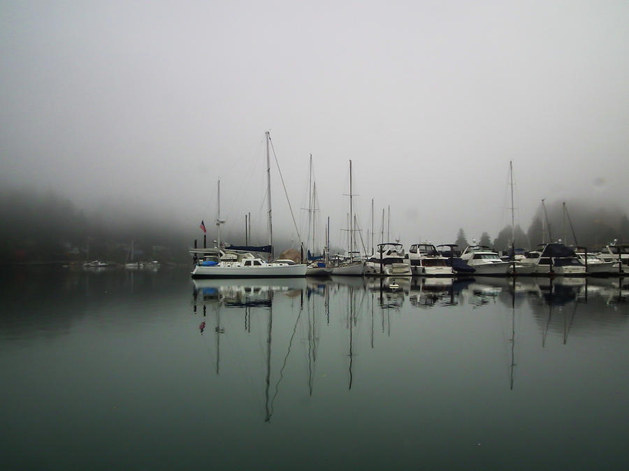 Gig Harbor Fog II Photograph by 1bluecanoe