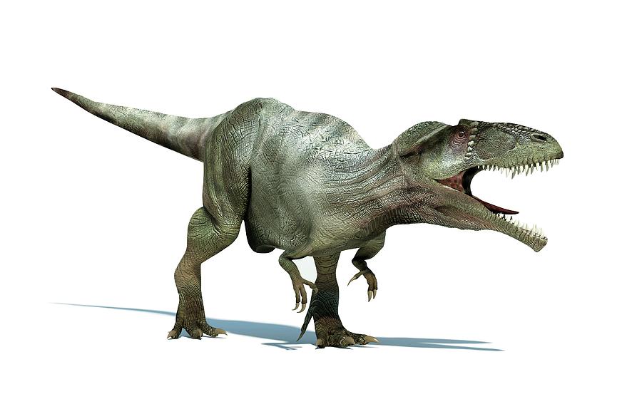 Giganotosaurus Dinosaur, Artwork Digital Art by Leonello Calvetti