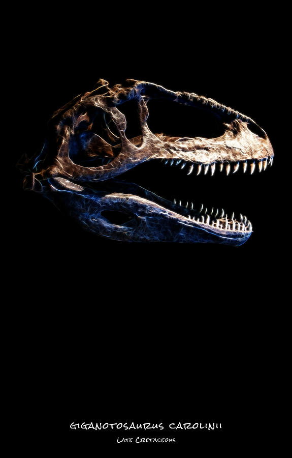 Giganotosaurus Skull 1 Photograph by Weston Westmoreland