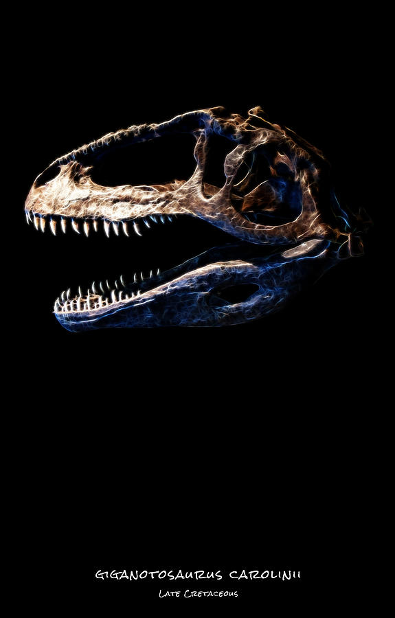 Giganotosaurus Skull 2 Photograph by Weston Westmoreland