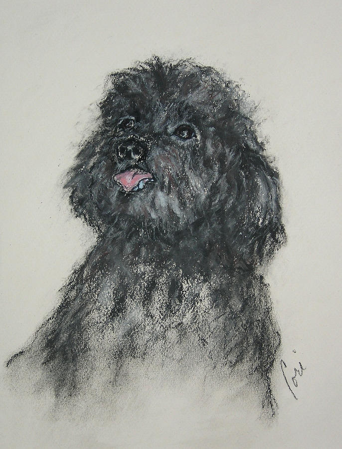 Poodle Drawing - Gigi by Cori Solomon