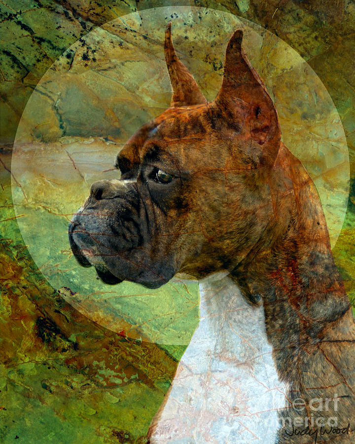 Dog Digital Art - Gigi Greens by Judy Wood