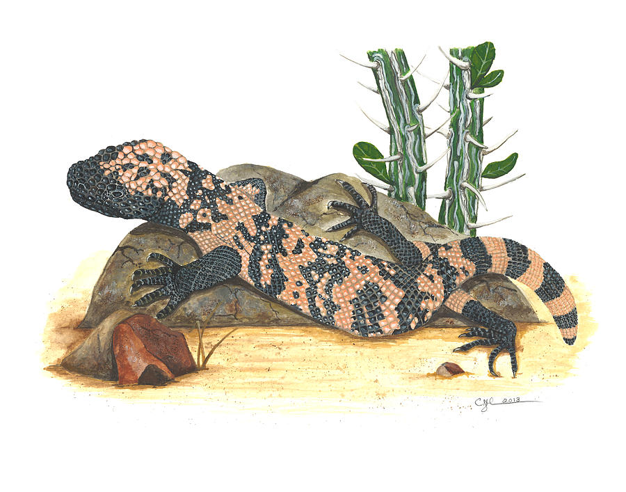 Gila monster Painting by Cindy Hitchcock