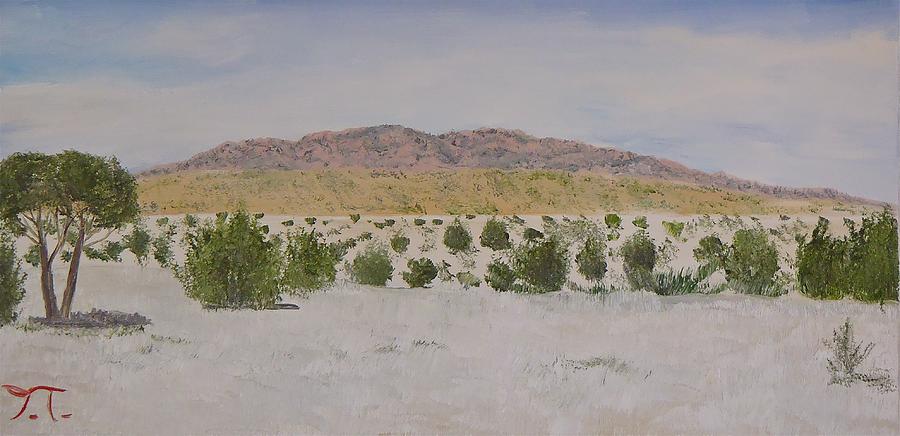 Gila National Forest Painting by Troy Thomas