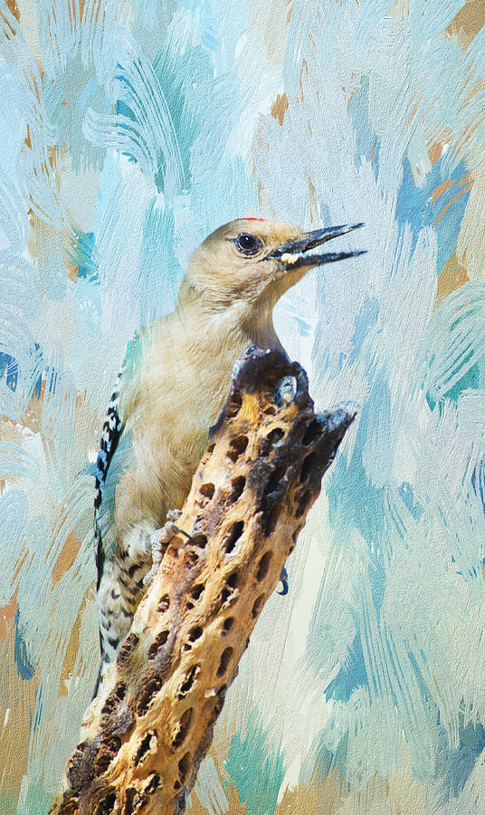 Gila Woodpecker Photograph by Barbara Manis